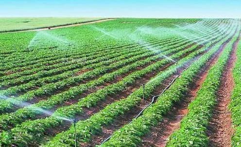 鸡巴插的小穴好爽视频农田高 效节水灌溉